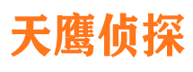 西区侦探公司